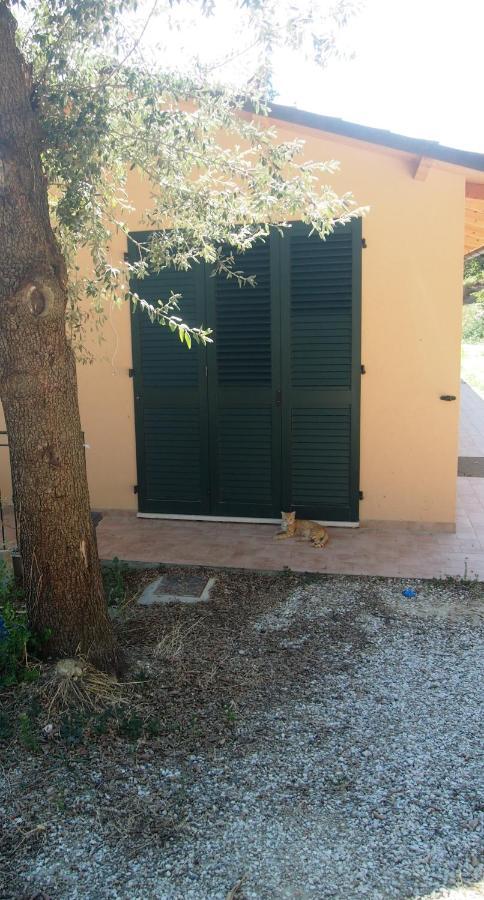 Agriturismo Ardizio 43 Песаро Екстериор снимка