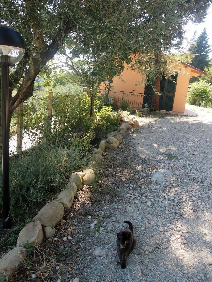 Agriturismo Ardizio 43 Песаро Екстериор снимка