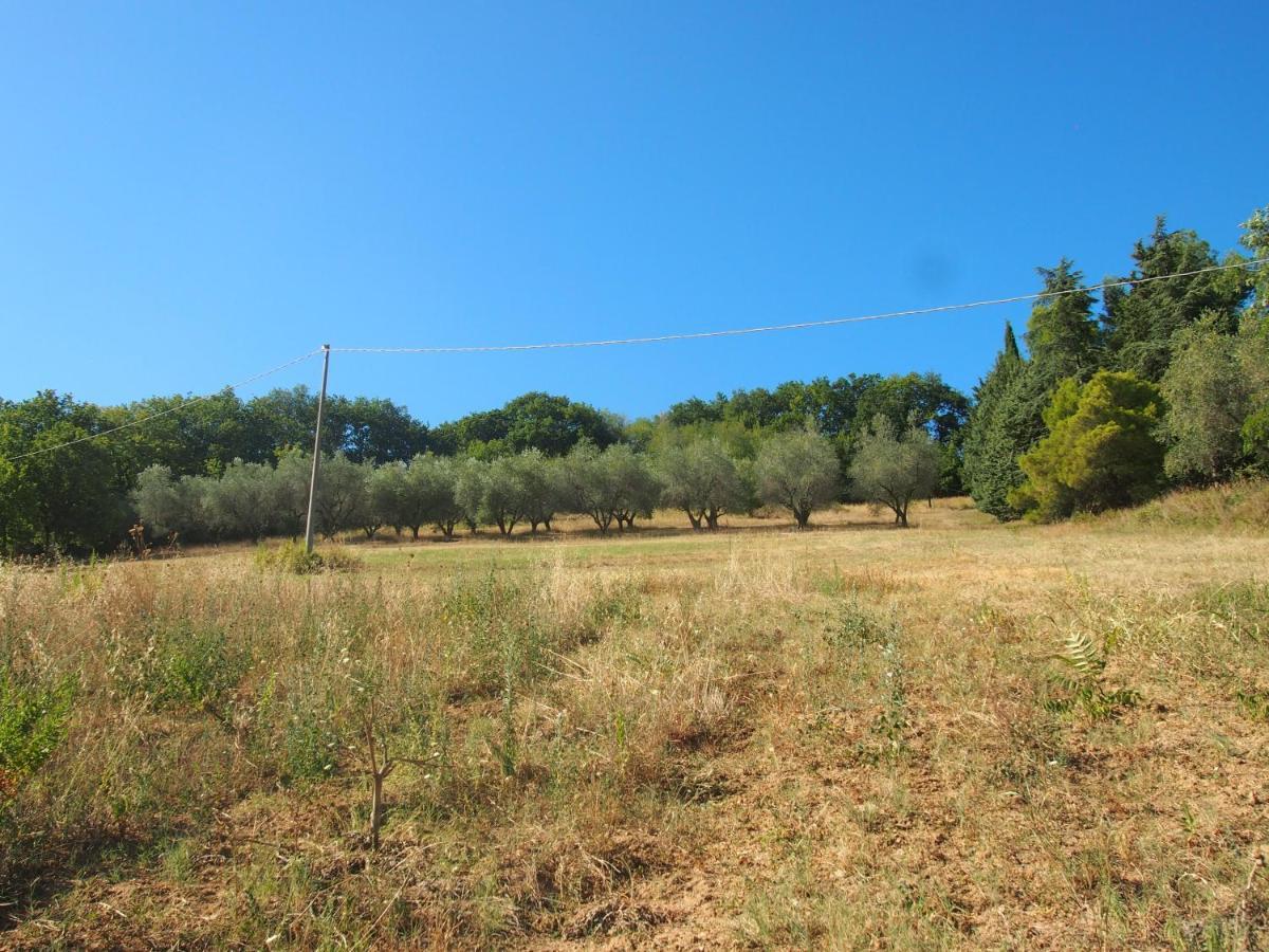 Agriturismo Ardizio 43 Песаро Екстериор снимка