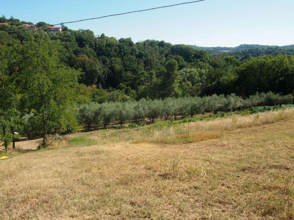 Agriturismo Ardizio 43 Песаро Екстериор снимка